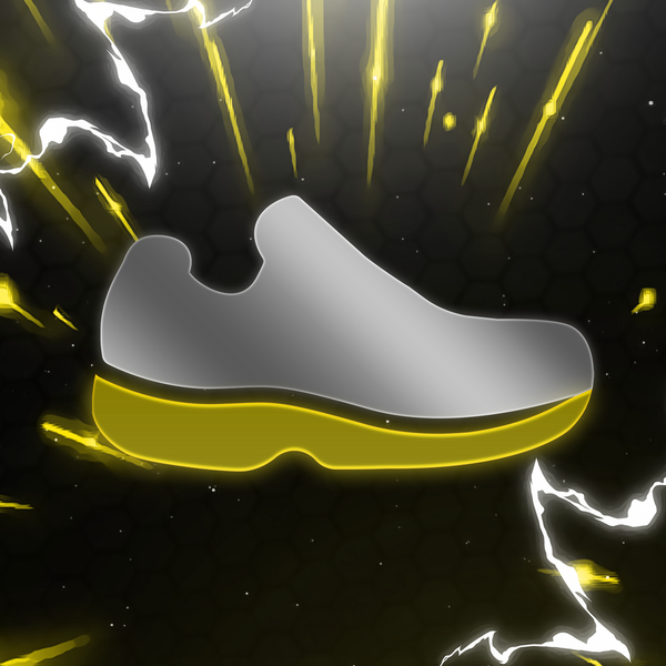 DESIGNER SHOE VENDOR